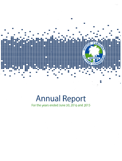 FY16 Report on Financial Statements PDF Link Image